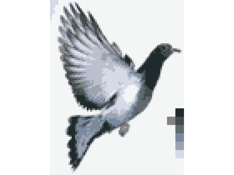 New Project: Custom Cross-Stitch Patterns