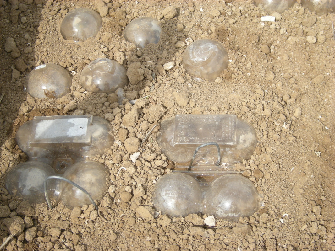 New Project: Cheap & Easy Mini-Greenhouses