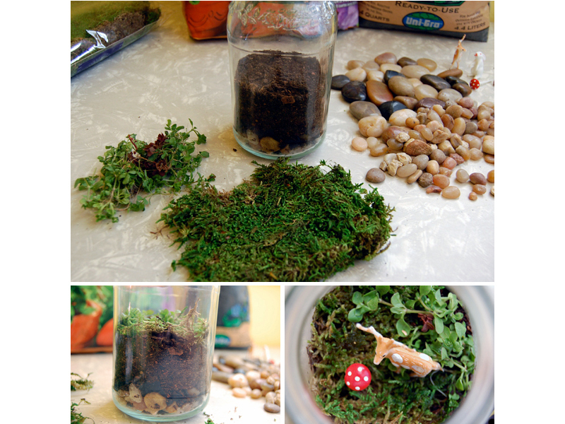 Mason Jar&nbsp;Terrarium