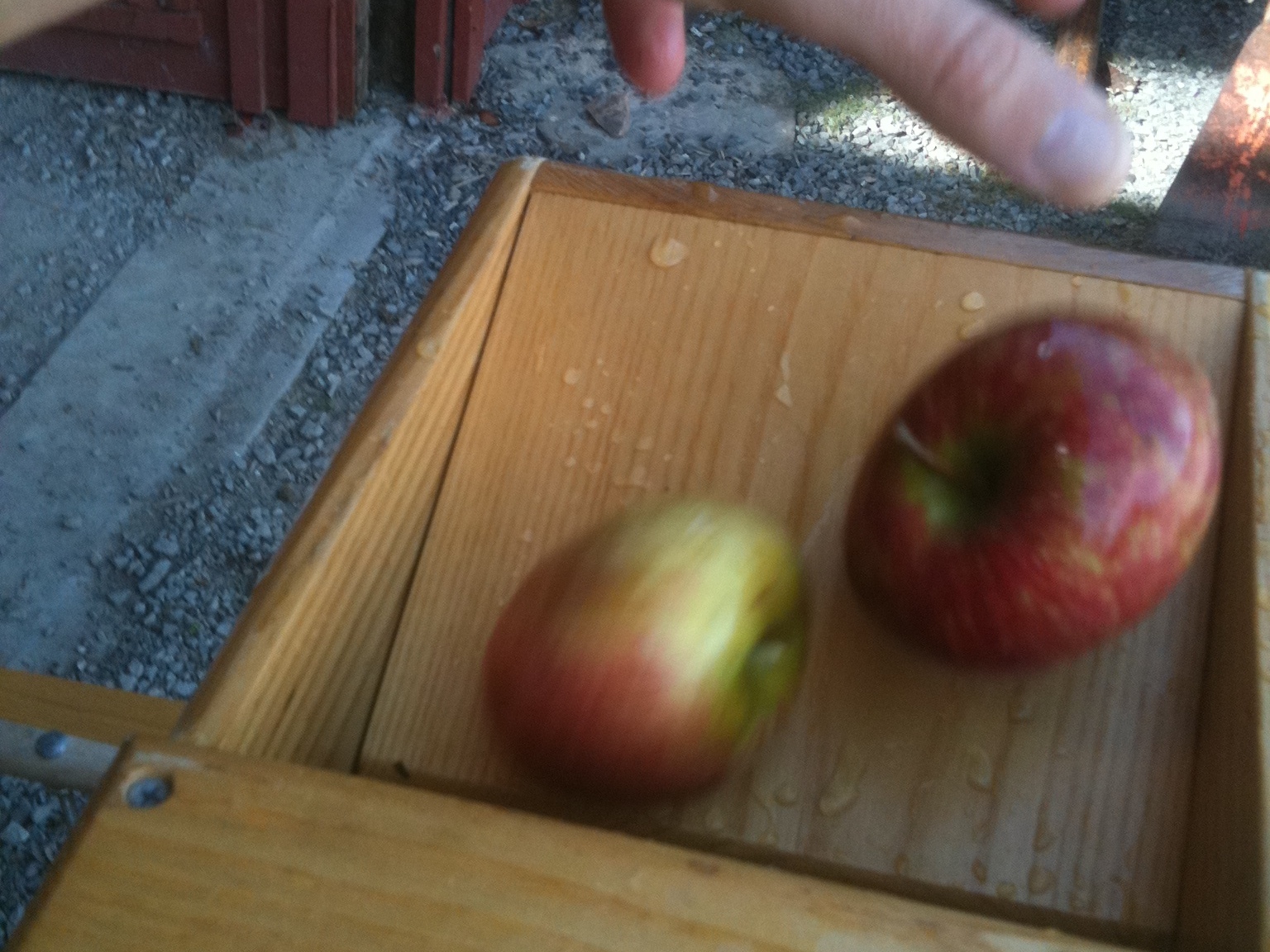 Apple&nbsp;Cider