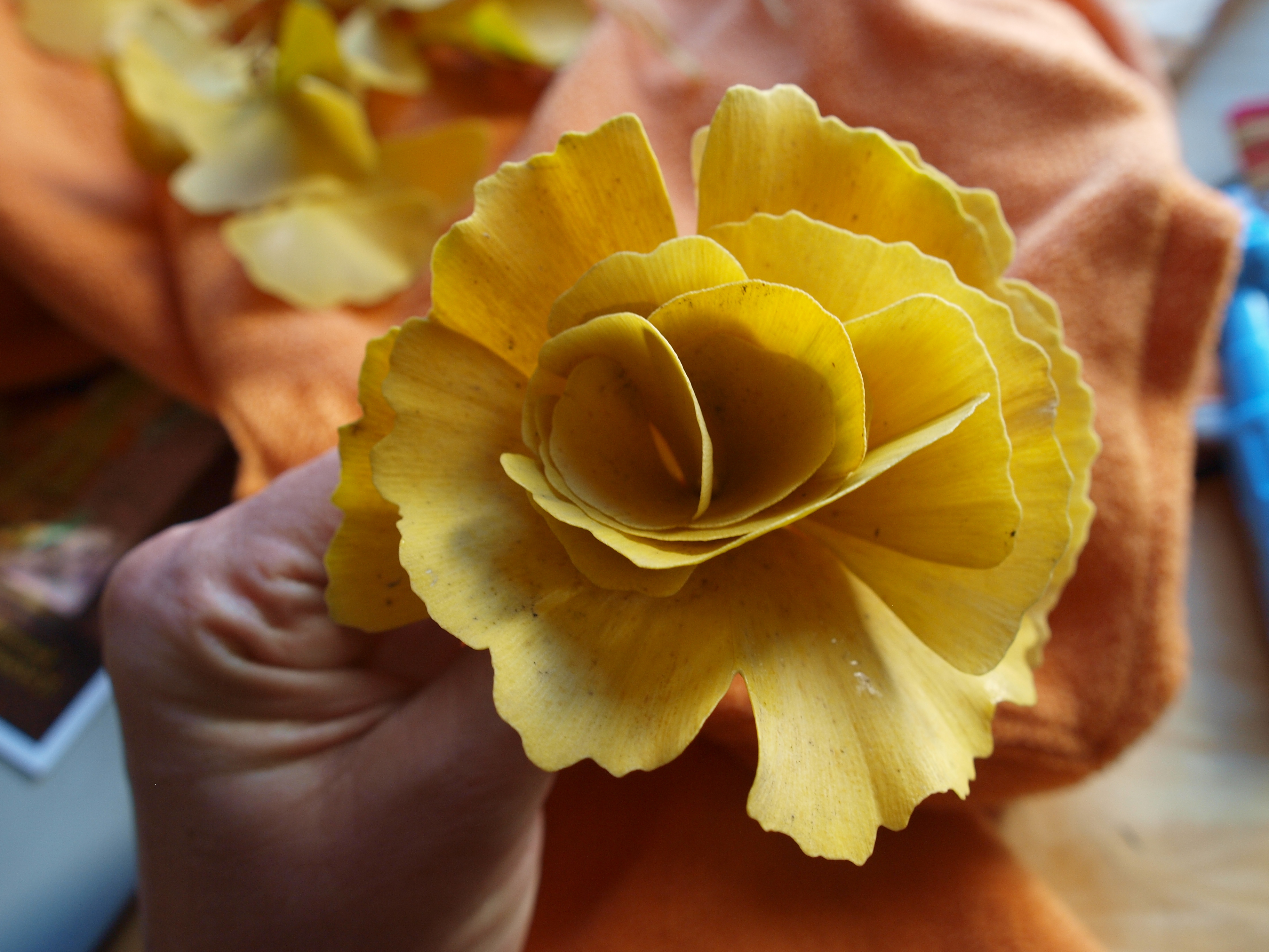 Yellow Gingko Rose