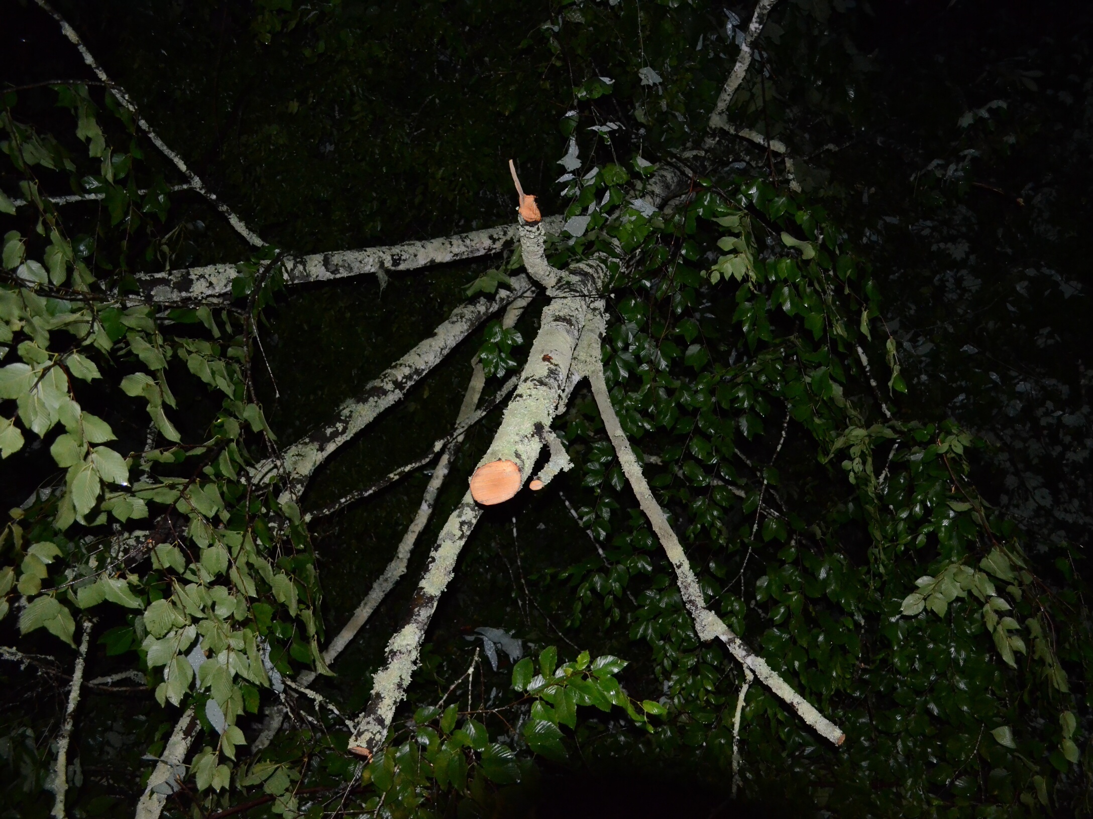 Nighttime Disaster&nbsp;Photography