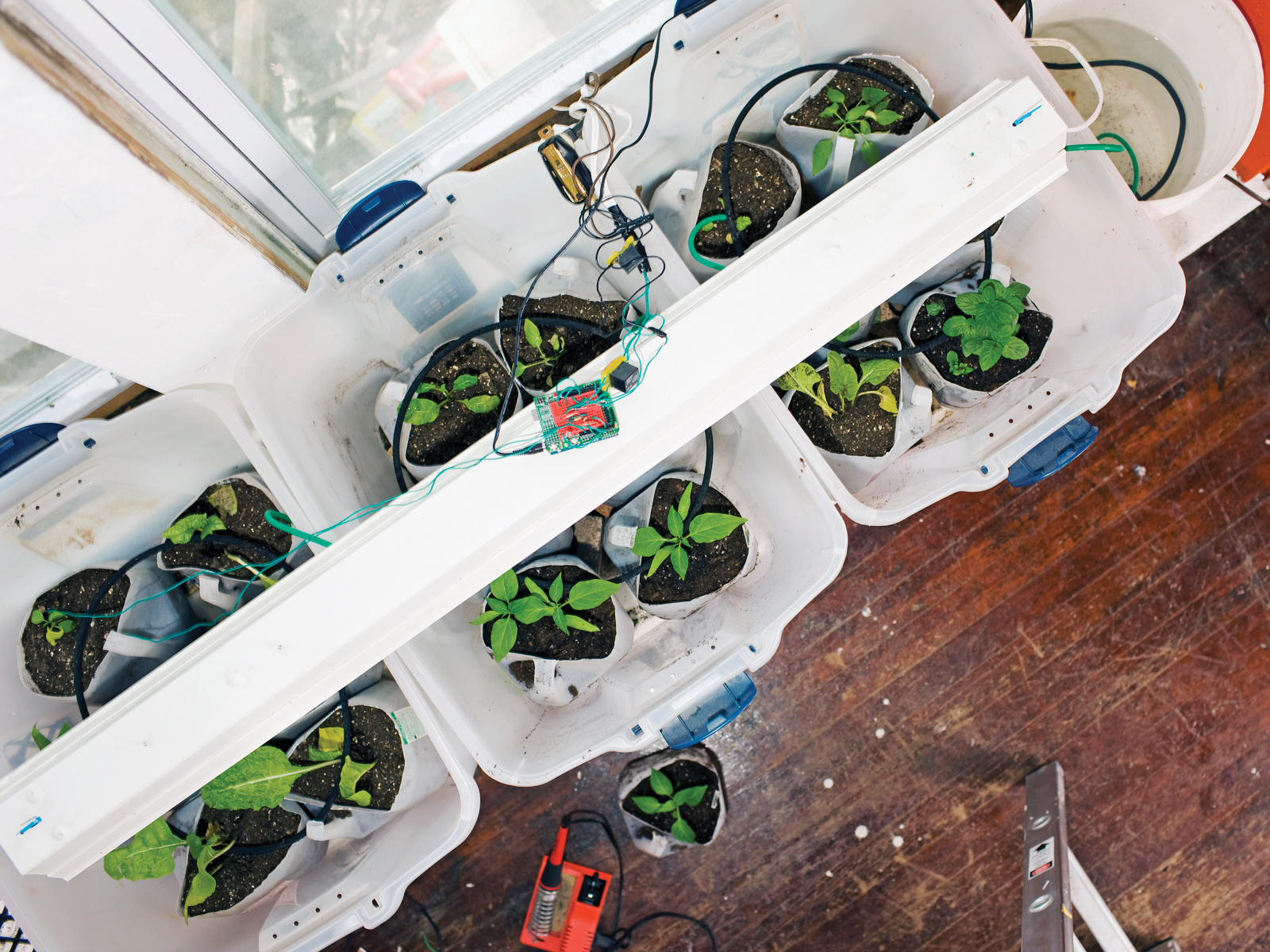 Garduino Geek&nbsp;Gardening
