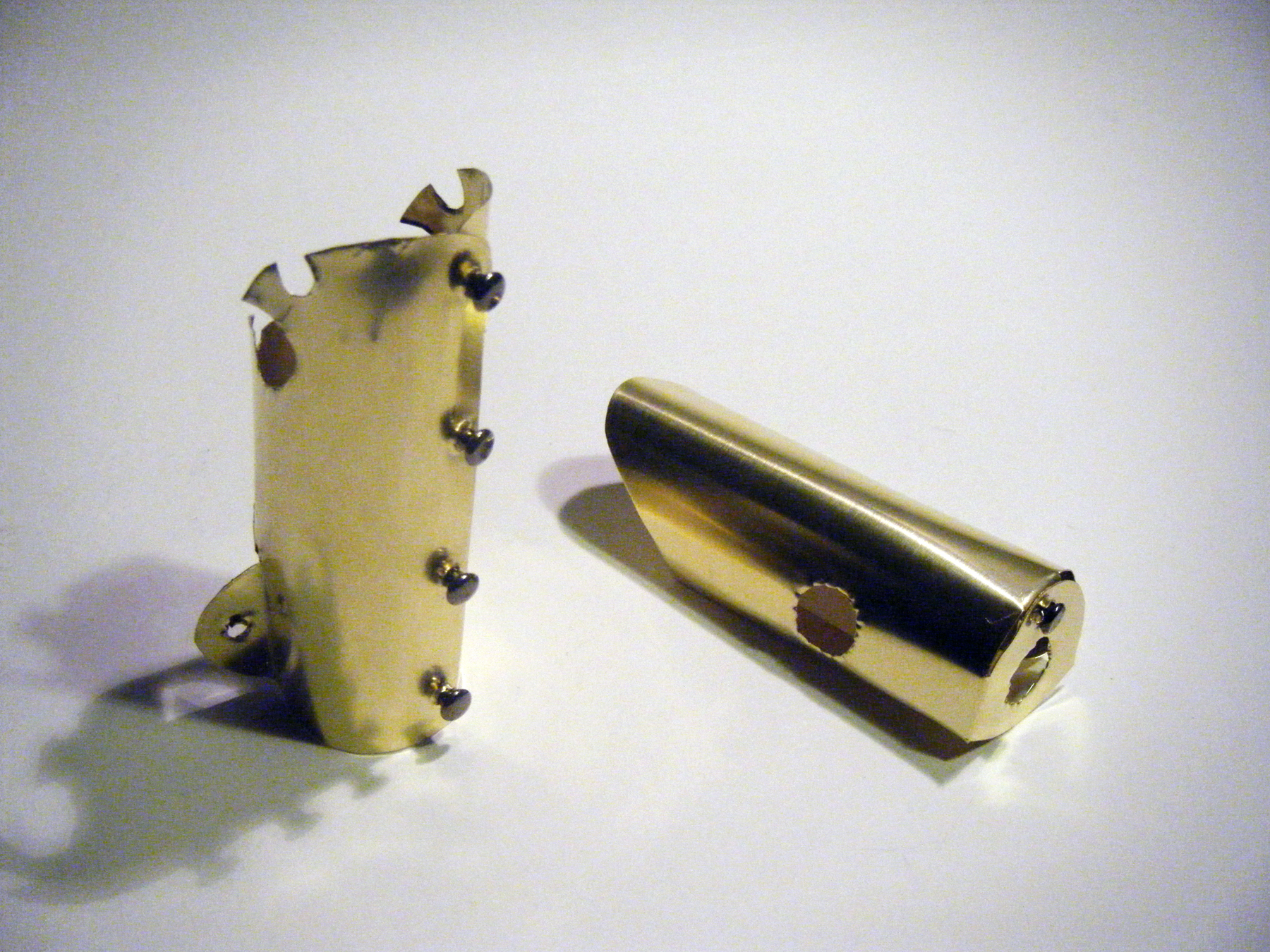 The “Discreet Companion” Ladies’&nbsp;Raygun