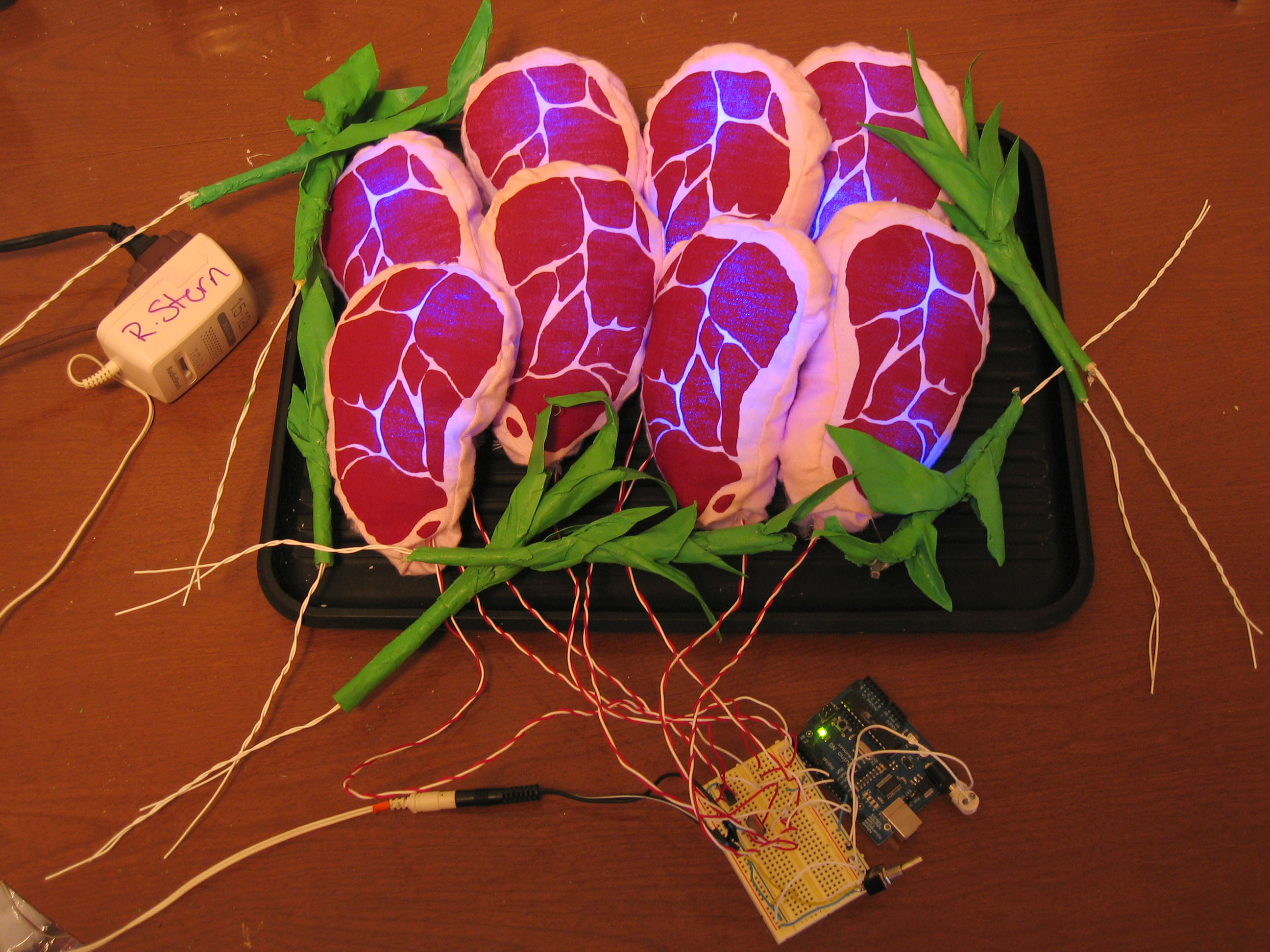 Plush Irradiated&nbsp;Sirloin