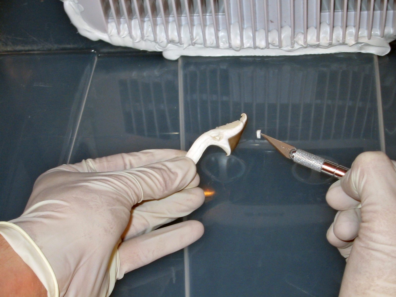 Home Mycology Lab