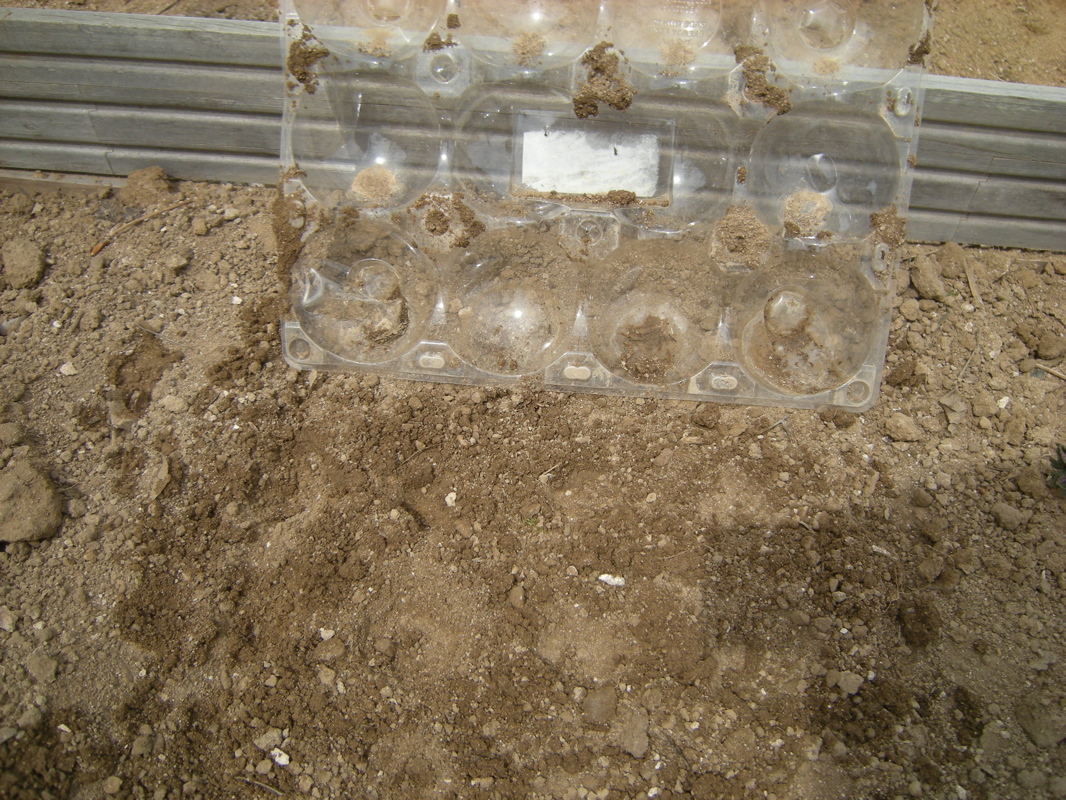 New Project: Cheap & Easy Mini-Greenhouses