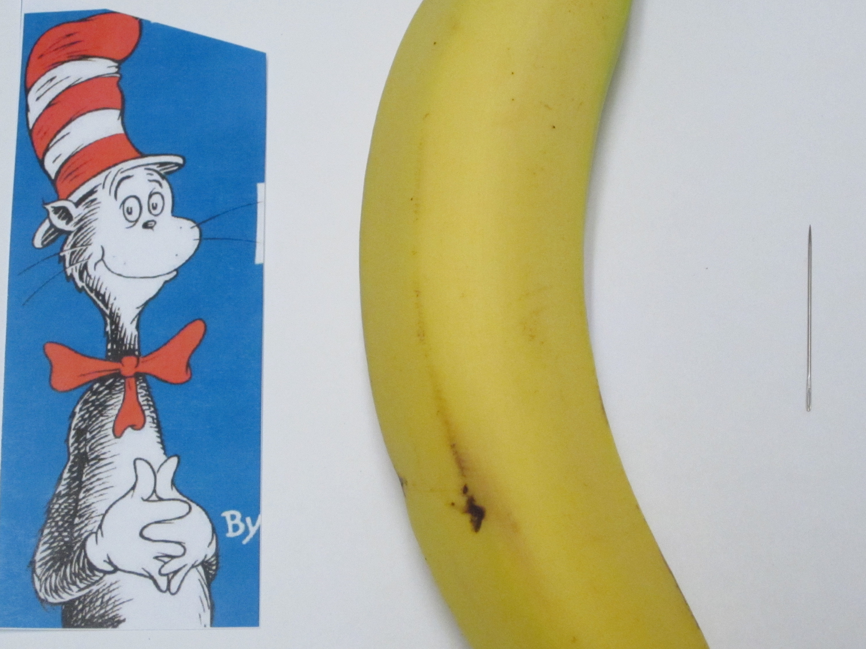 Banana Oxidation&nbsp;Art