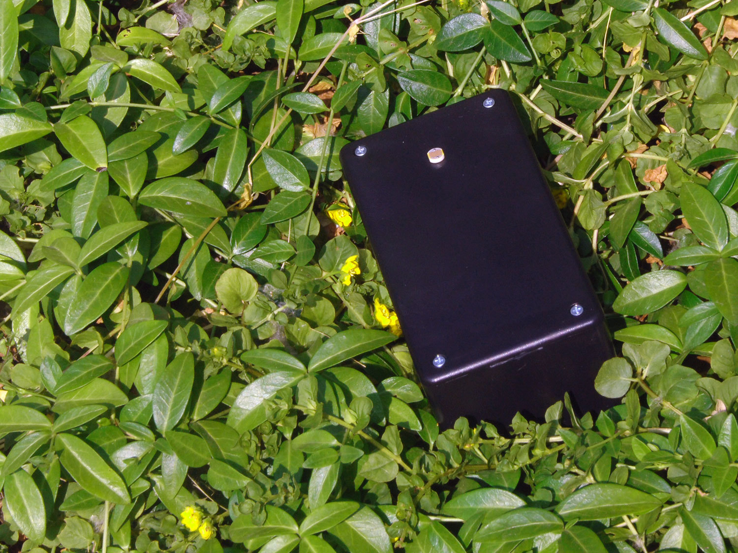 New Project: Sun Logger