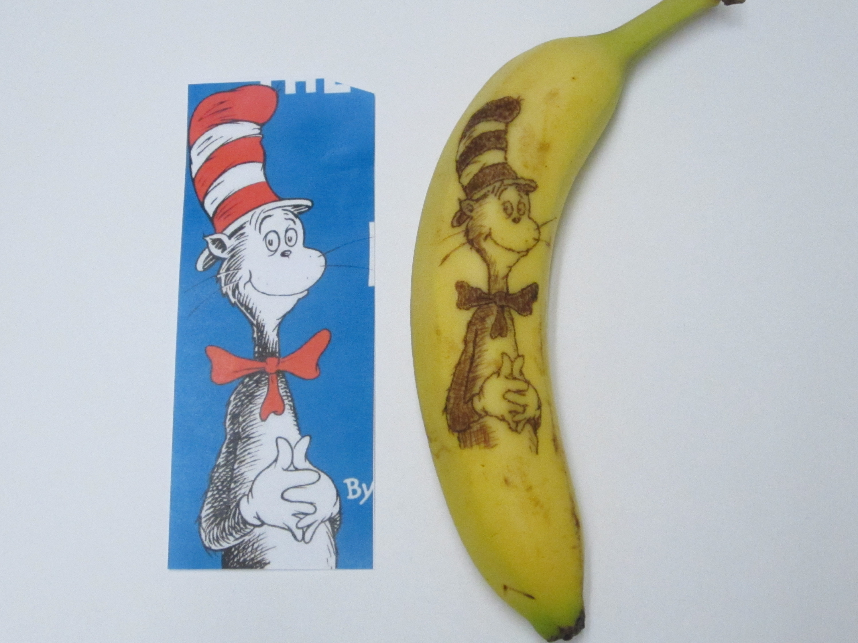 Banana Oxidation&nbsp;Art
