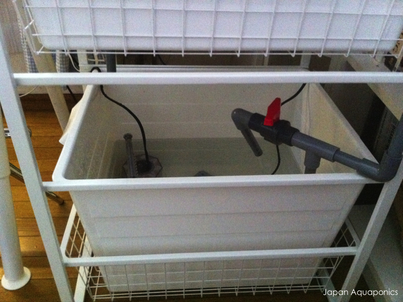 Indoor Aquaponics&nbsp;System