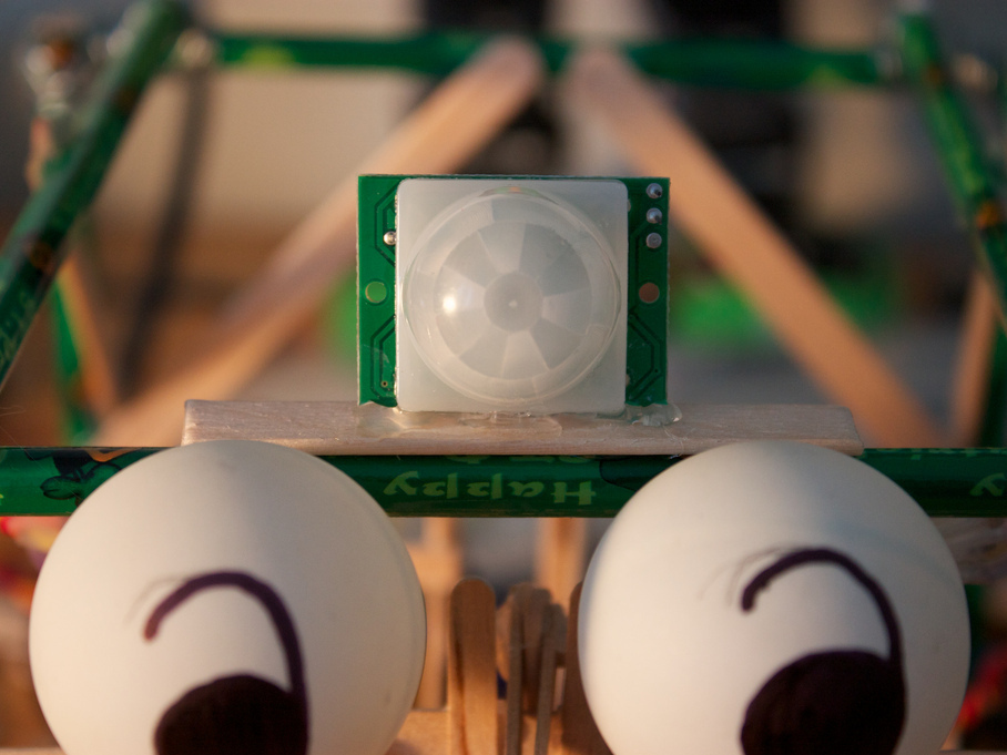 New Project: RoboBrrd