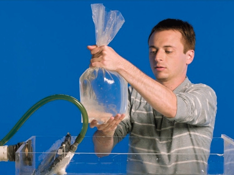 Jellyfish&nbsp;Tank