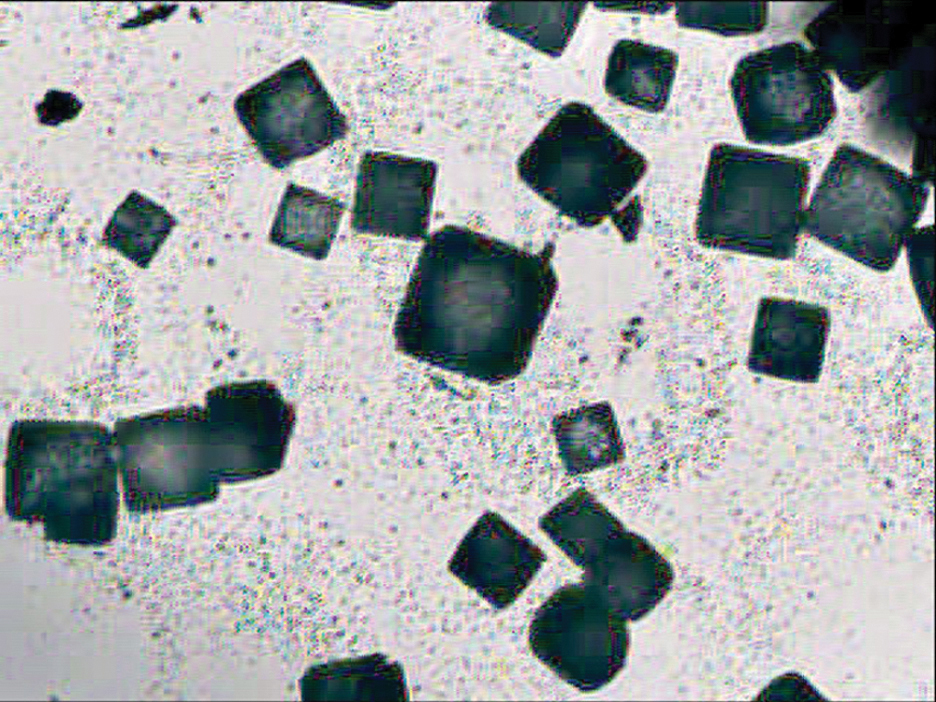 New Project: Lensless Microscope