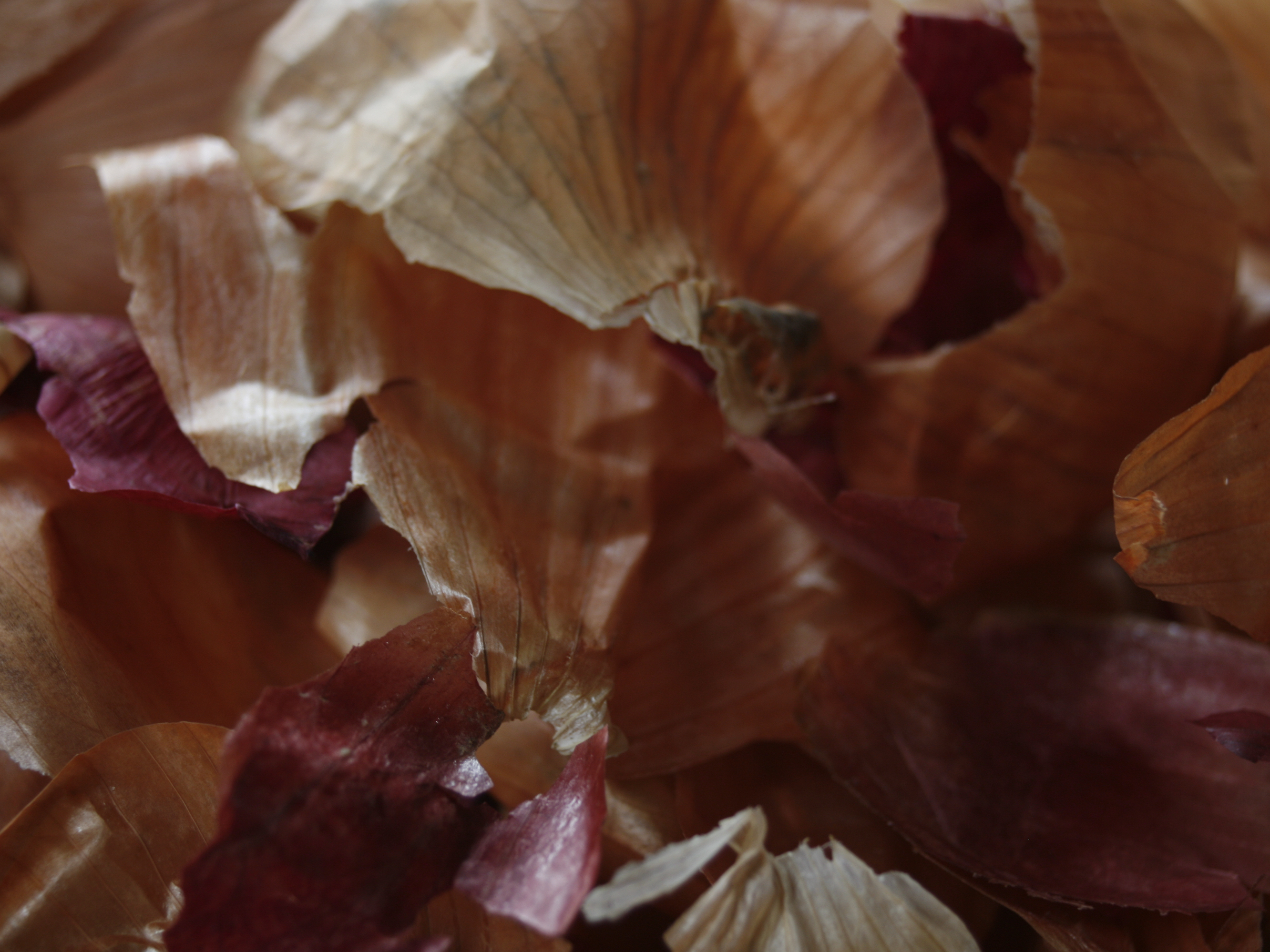 Natural Dyeing&nbsp;101