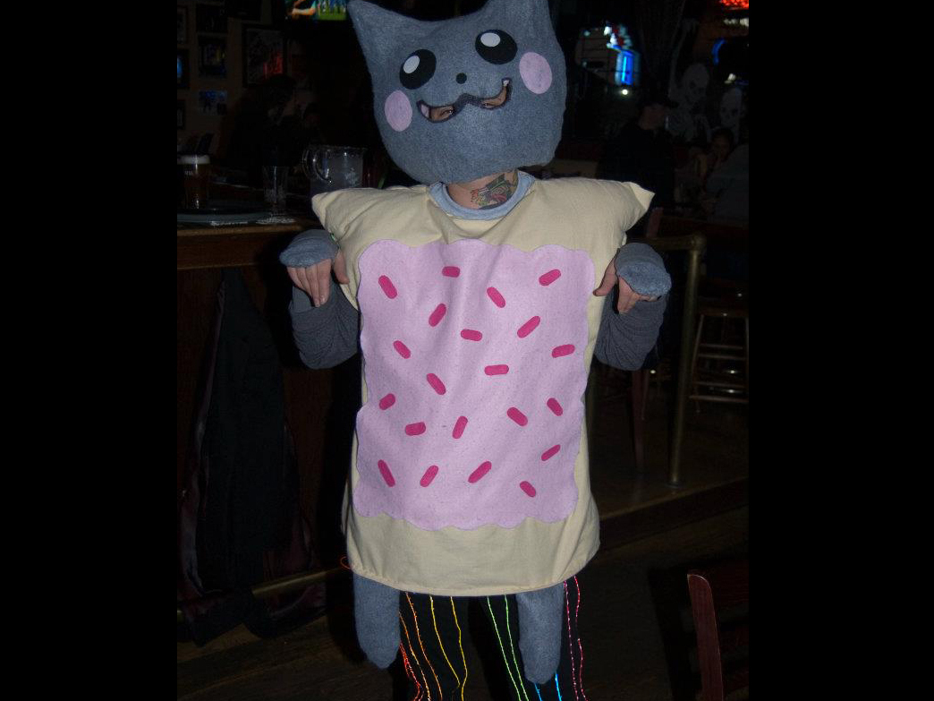 Nyan Cat Costume with EL Rainbow