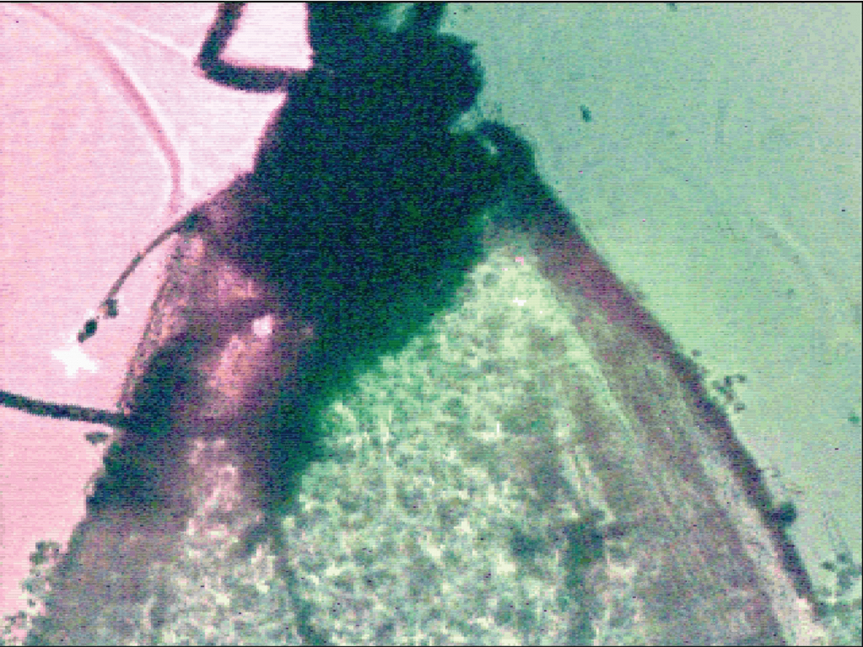 New Project: Lensless Microscope