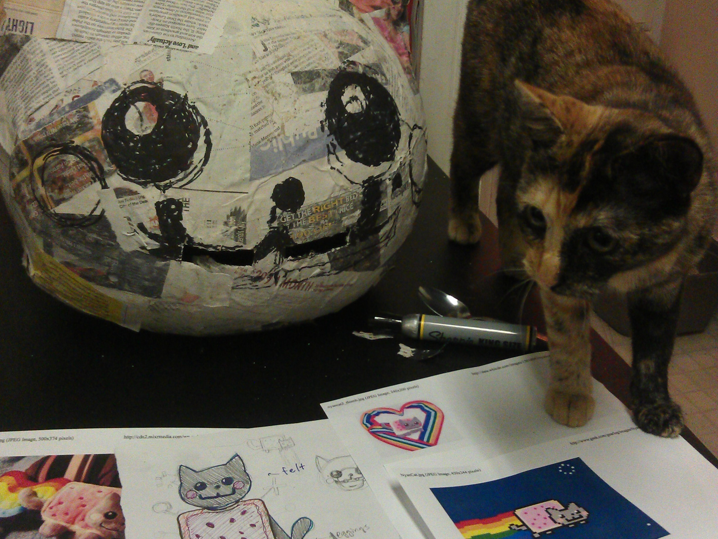 Nyan Cat Costume with EL Rainbow
