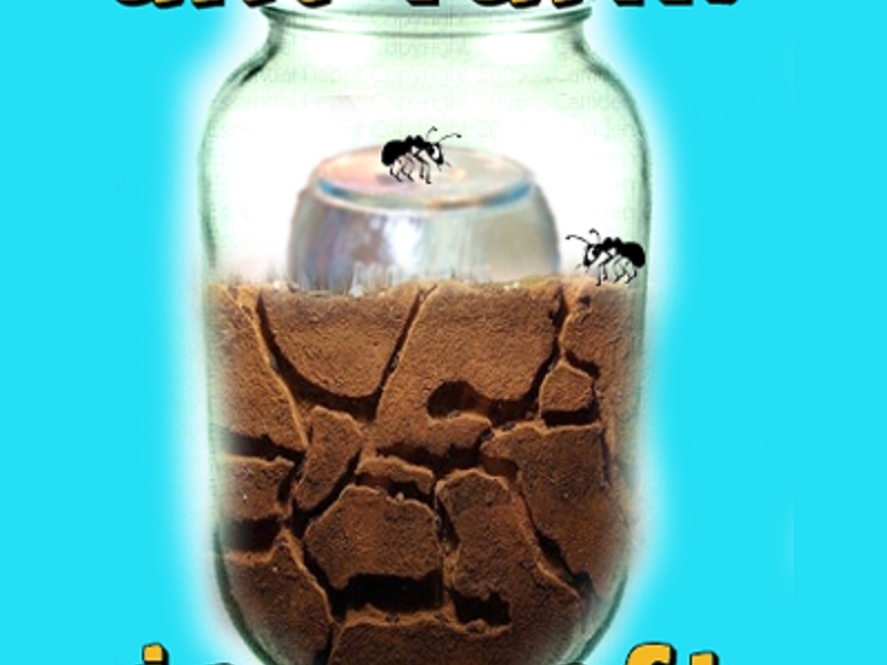 New Project: Make an Ant Farm
