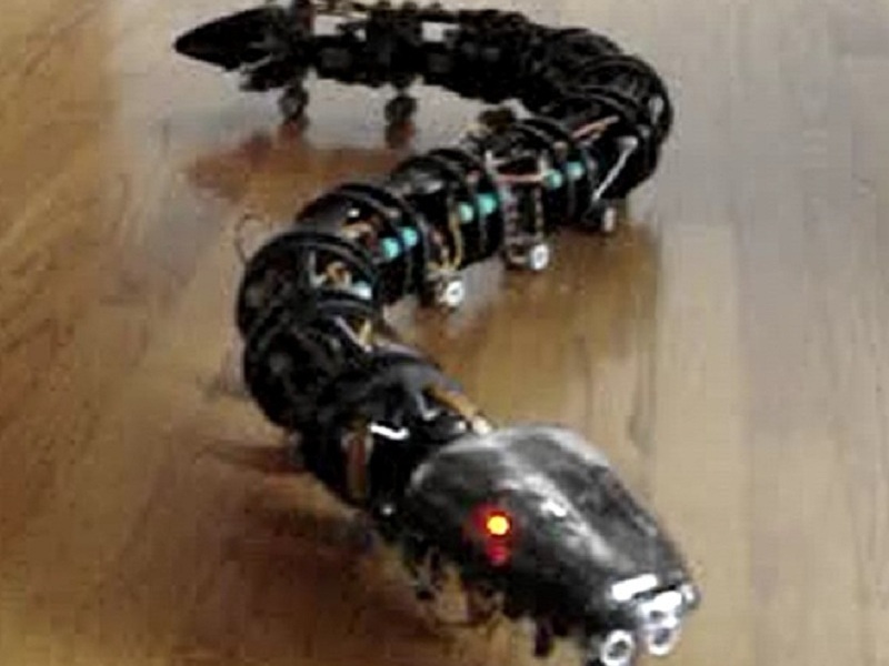 Nagaina The Snake Robot