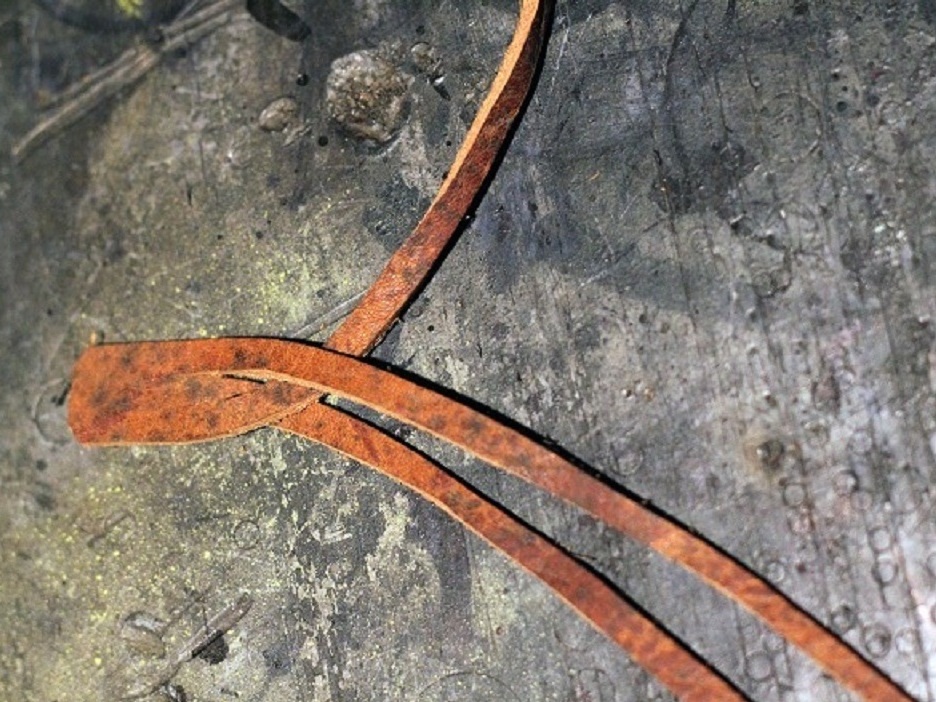 New Project: Braided Leather Bracelet