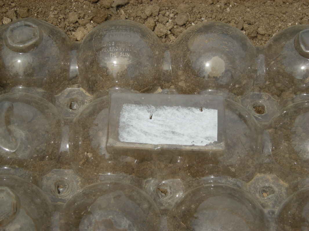 New Project: Cheap & Easy Mini-Greenhouses