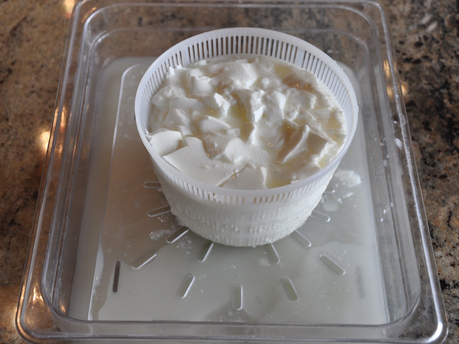 New Project: Goat Cheese