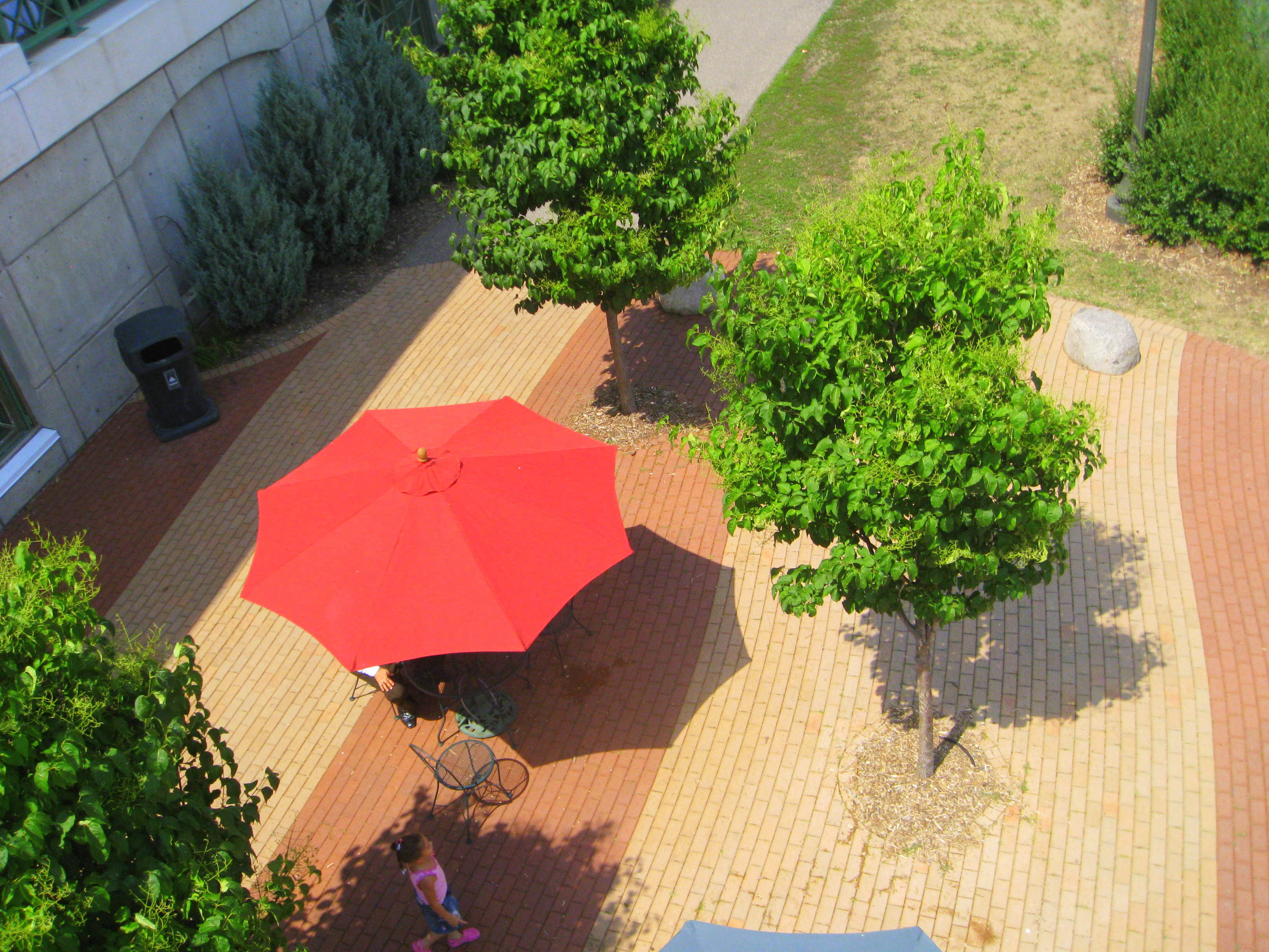 Pole-Mounted Aerial Photography&nbsp;Rig