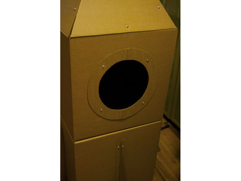 Cardboard Cat Rocket