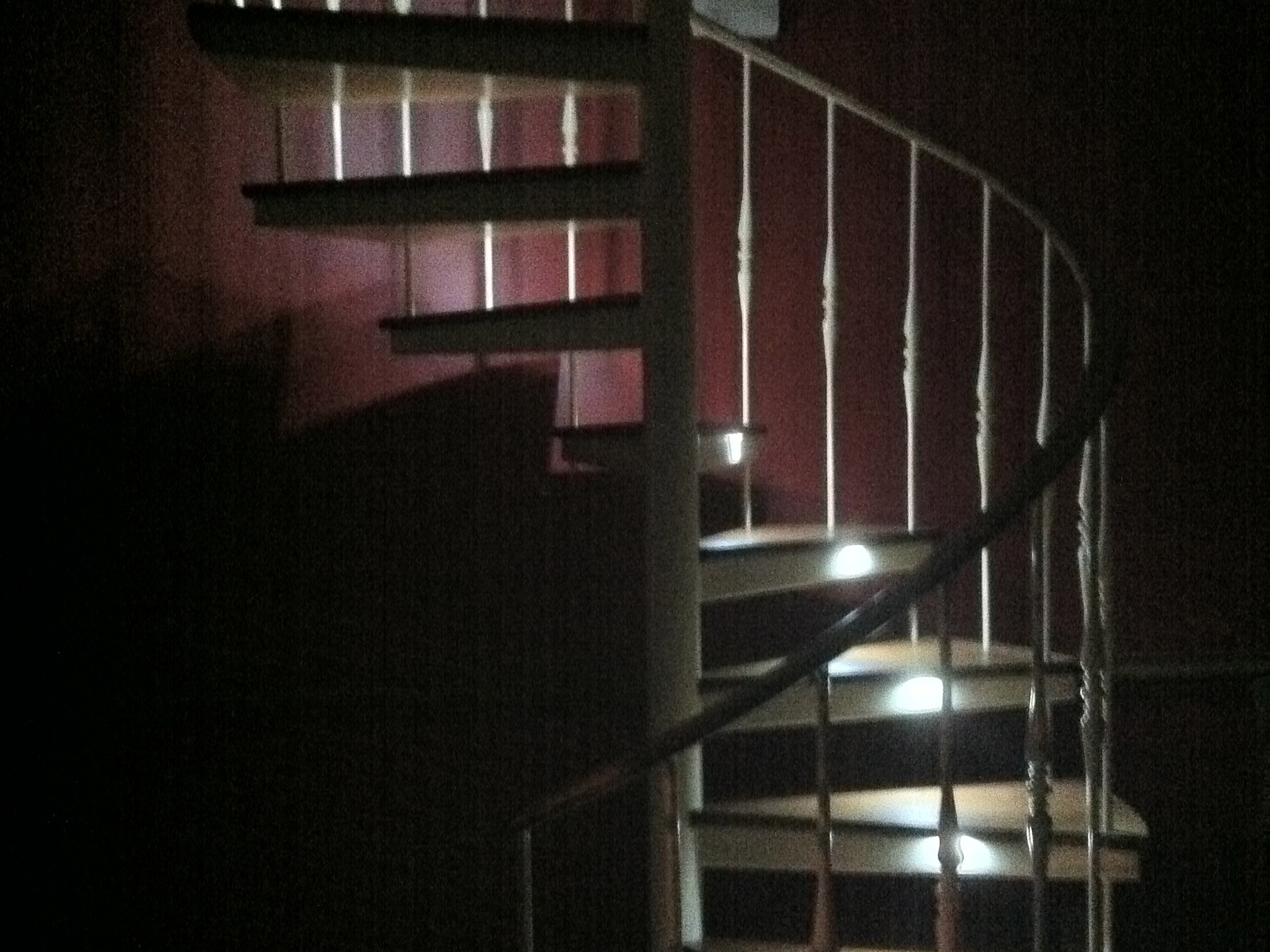 Custom LED Spiral Staircase&nbsp;Lighting