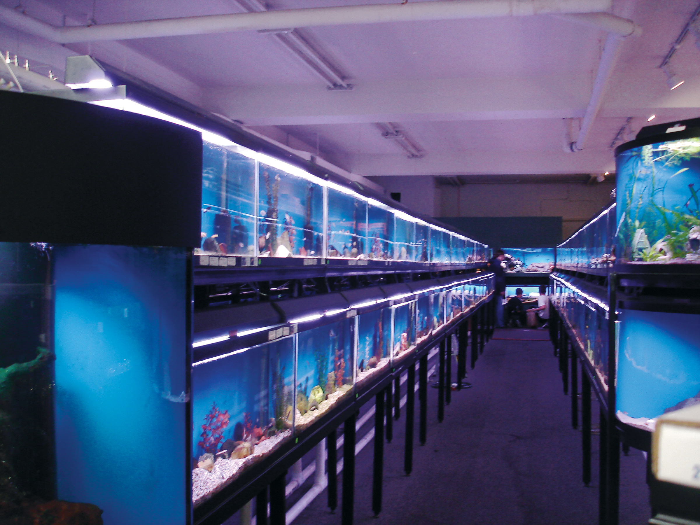 Tabletop Biosphere