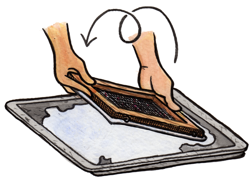 New Project: Papermaking 101