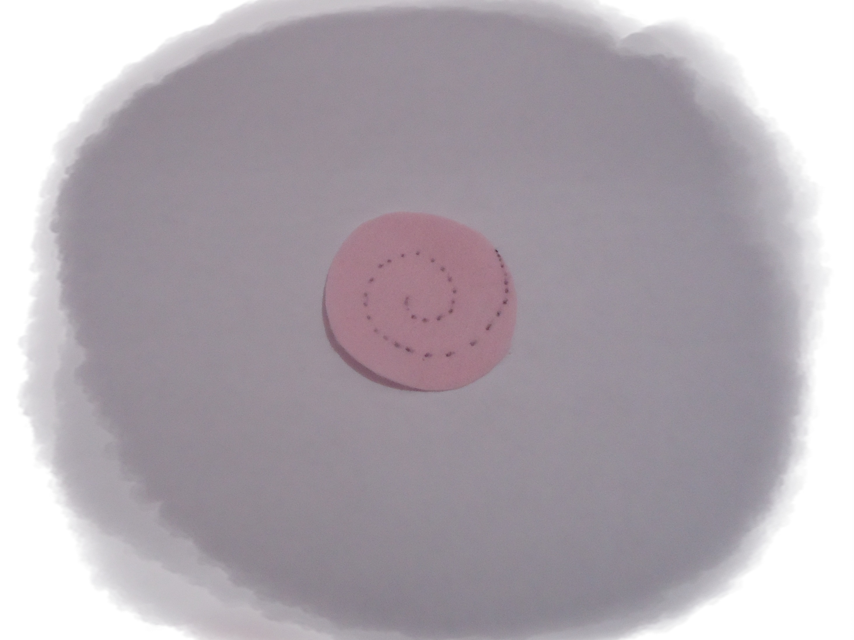 Felt&nbsp;Flower