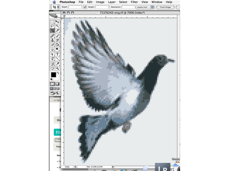 New Project: Custom Cross-Stitch Patterns