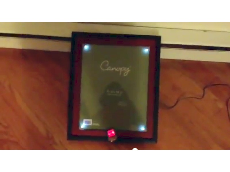 New Project: LED LilyPad Frame