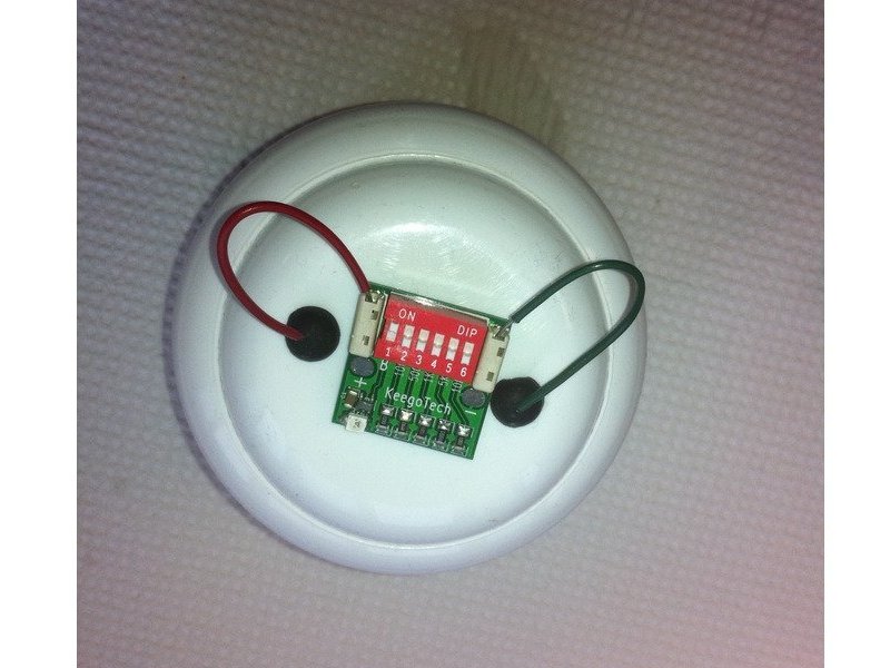 Bacteria Battery