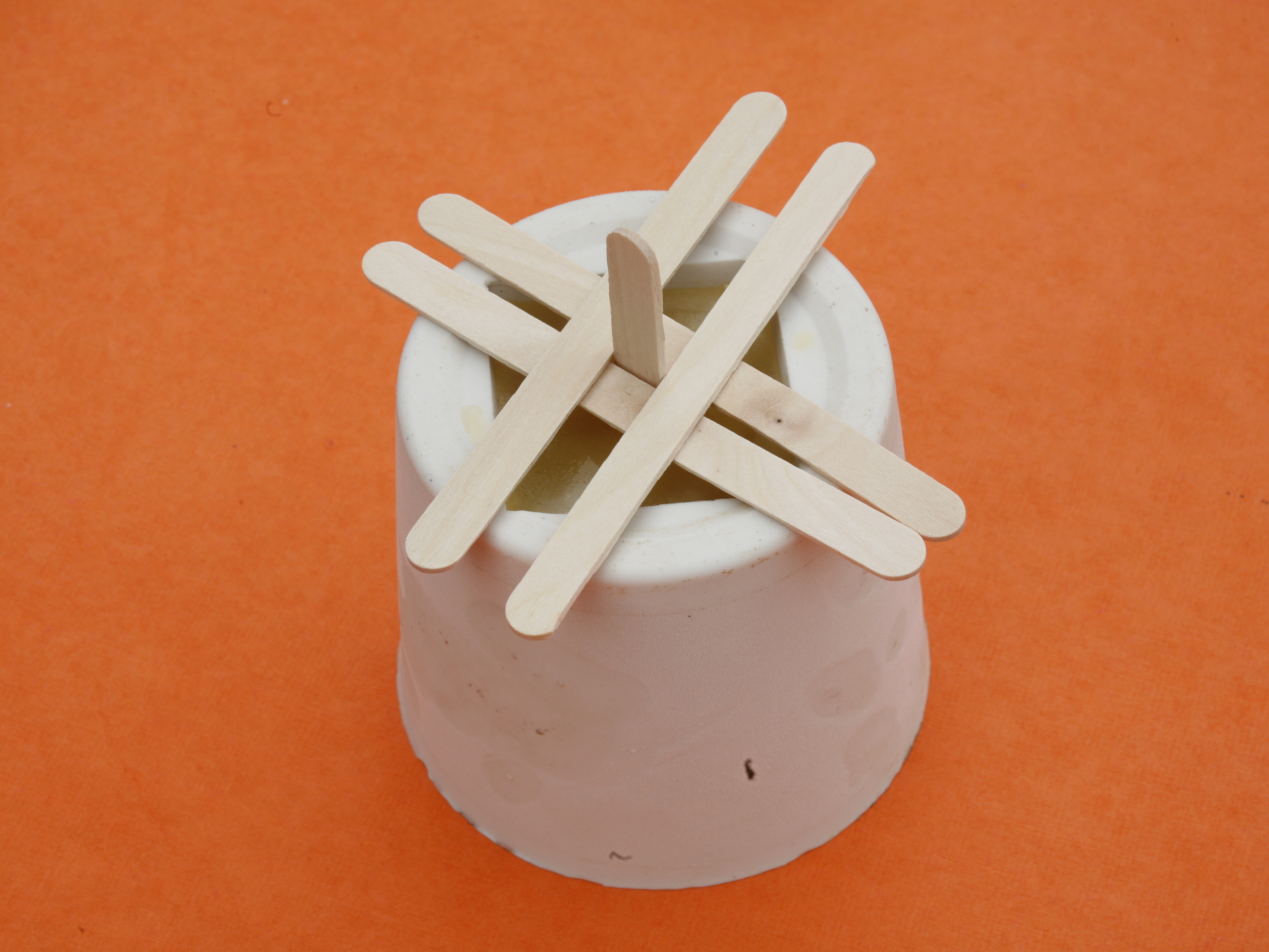 Custom Ice&nbsp;Pops