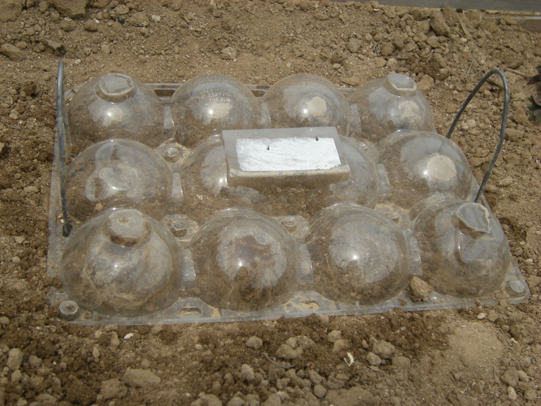 New Project: Cheap & Easy Mini-Greenhouses