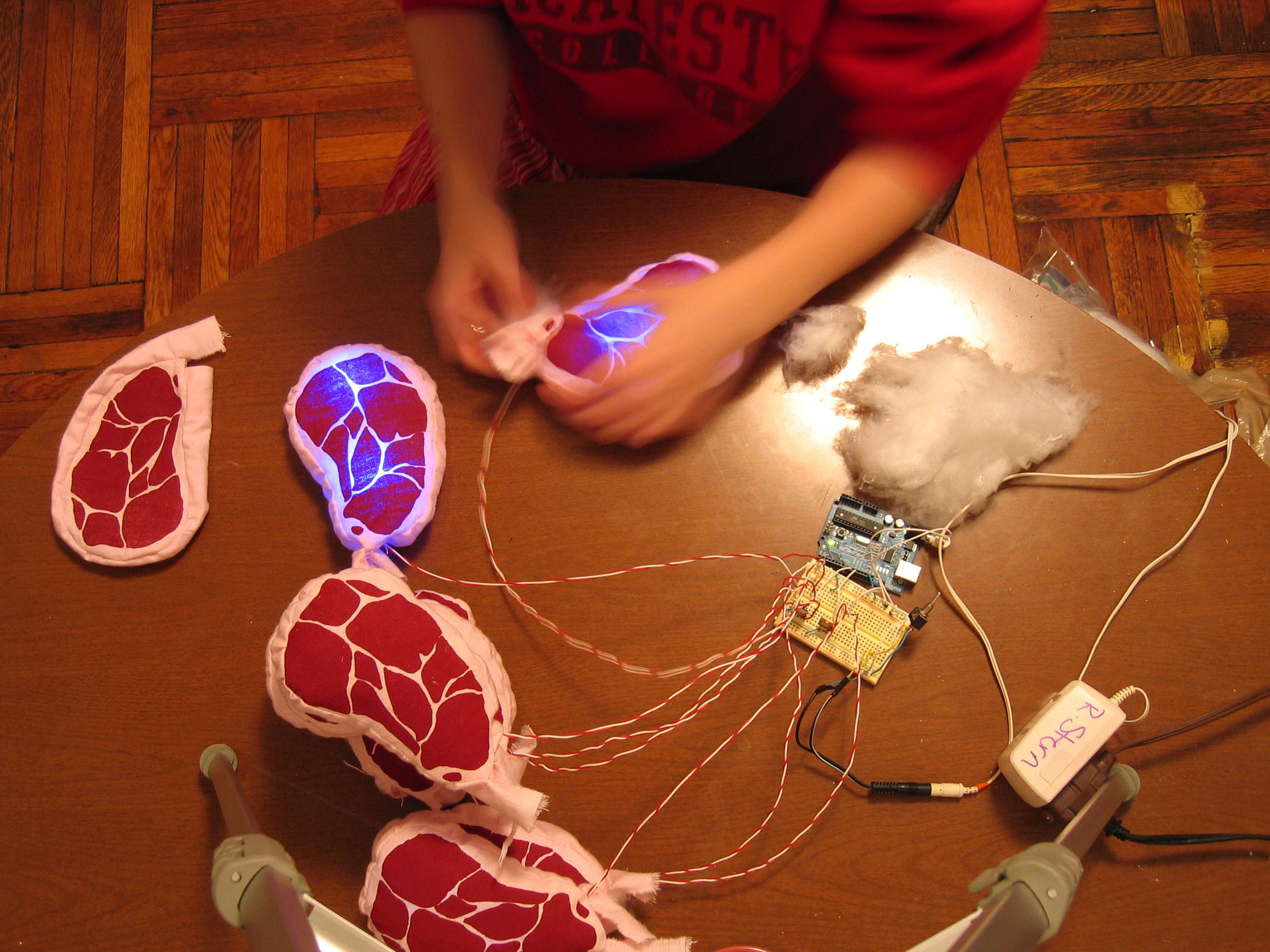 Plush Irradiated&nbsp;Sirloin