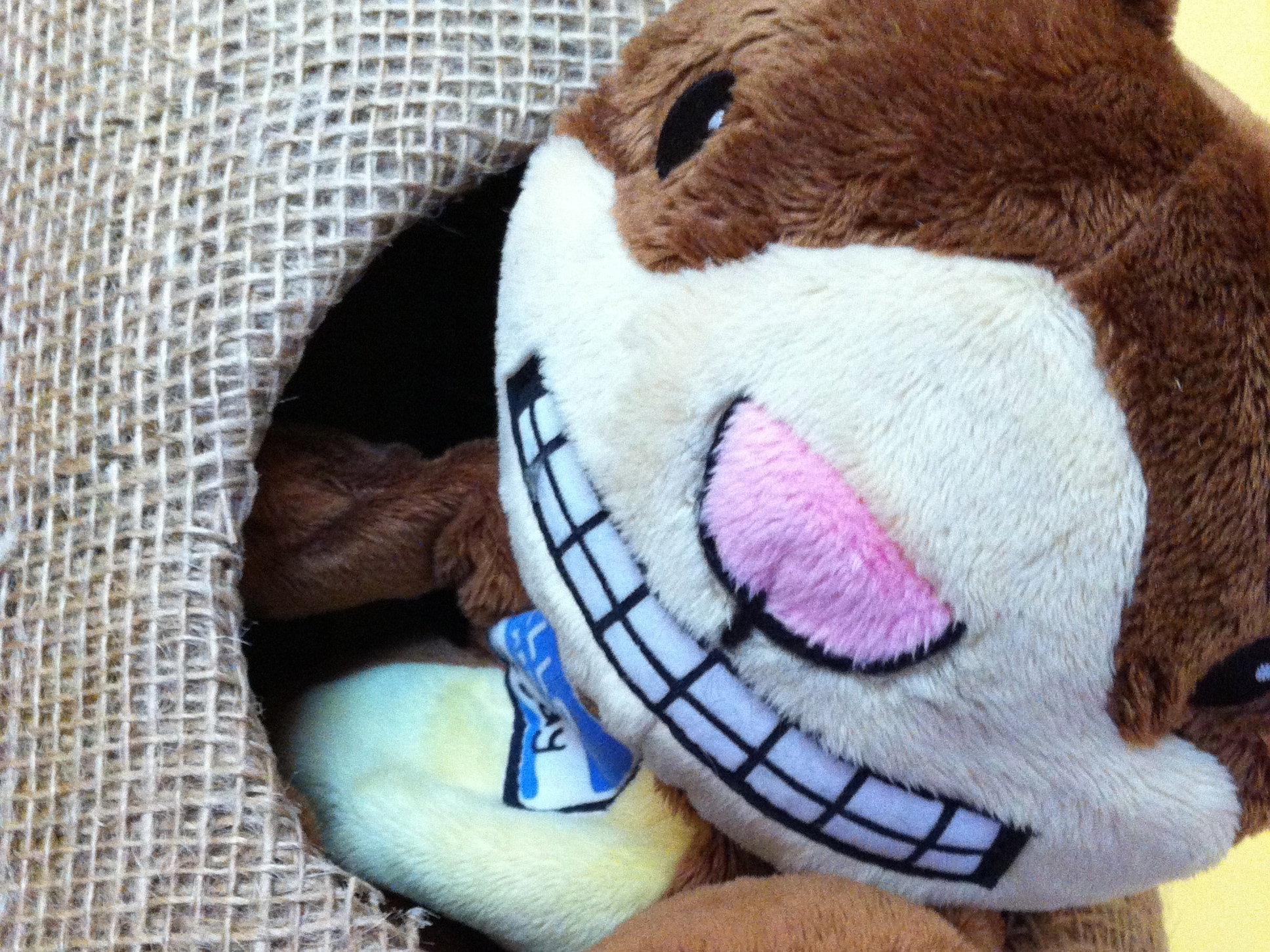 Making A Nut Tree For Your Stuffed&nbsp;Squirrel