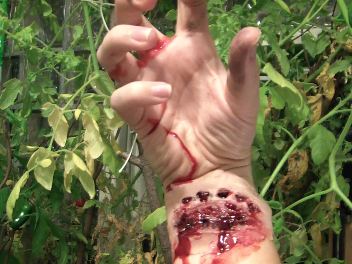 New Project: Zombie Horror Wounds