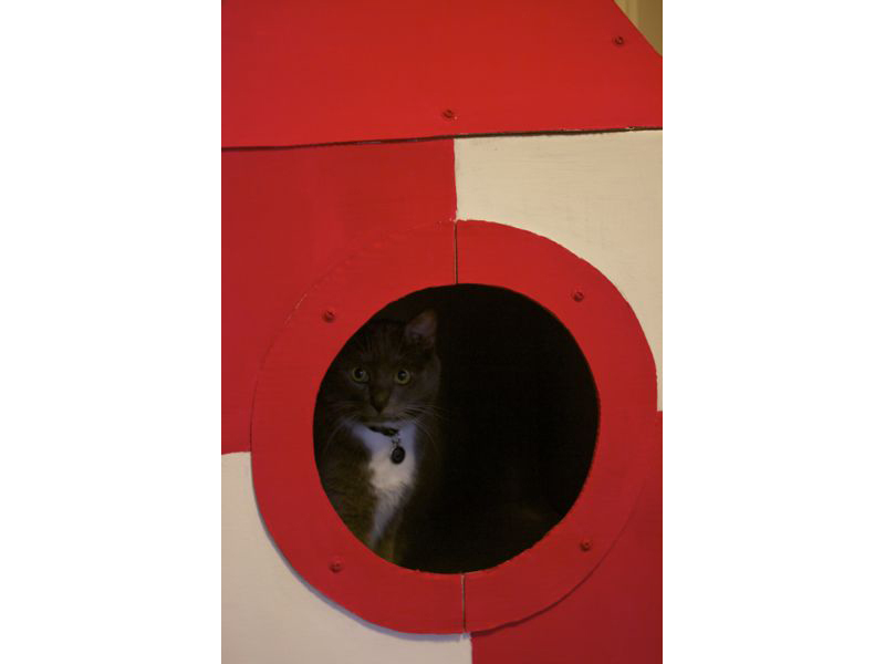 Cardboard Cat Rocket
