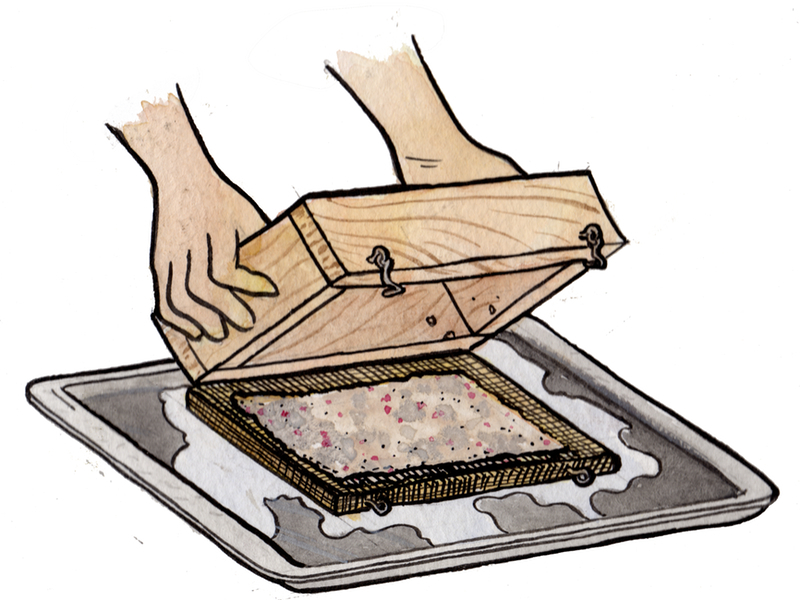 New Project: Papermaking 101