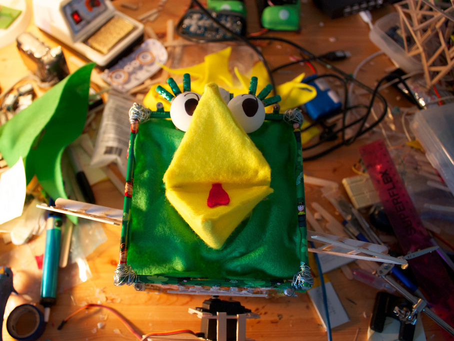 New Project: RoboBrrd