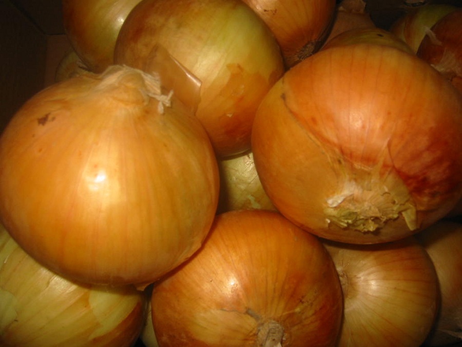 Charge an iPod with an&nbsp;Onion