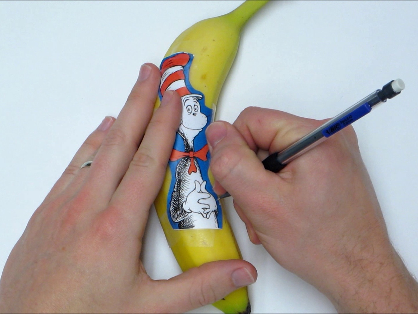 Banana Oxidation&nbsp;Art