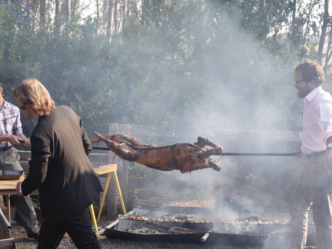 Solar Powered Roasting Spit