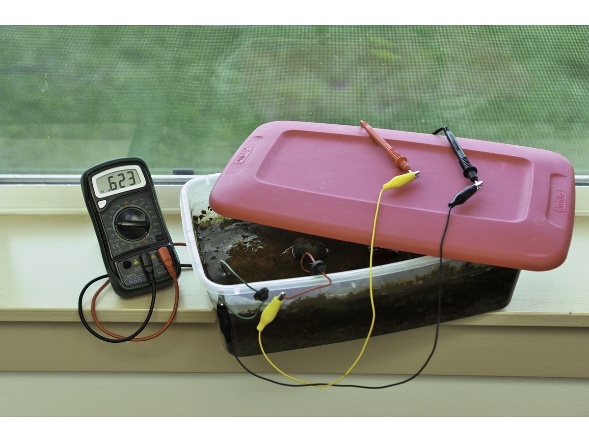 New Project: Bacteria Battery
