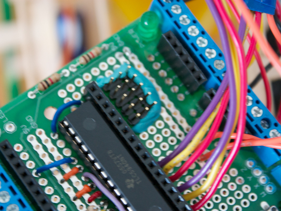New Project: RoboBrrd