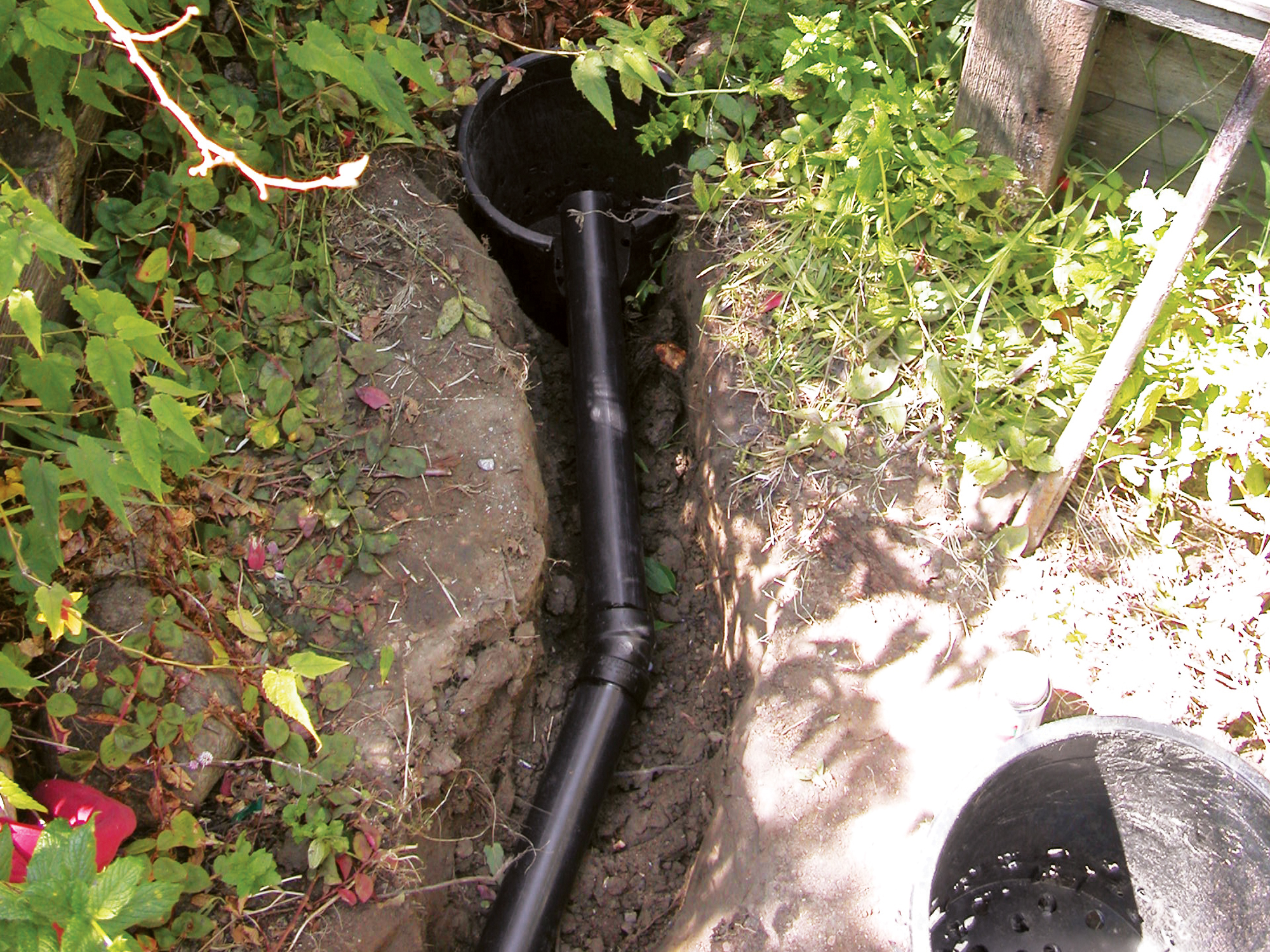 Backyard Graywater System